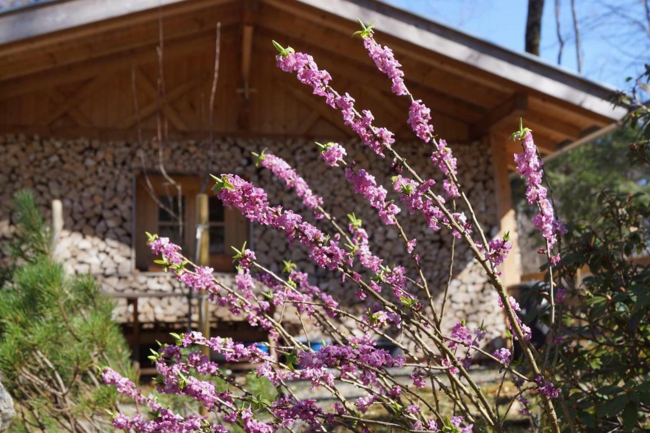 Ferienhaus Waldwinkl Grainau Exterior foto